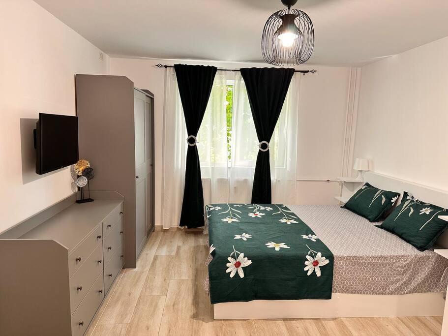 Ferienwohnung Luna Apartament Timişoara Exterior foto
